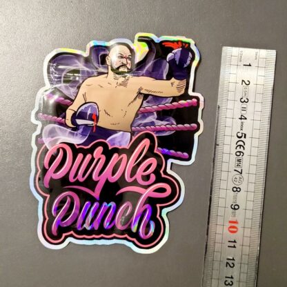 pochton mylar purple punch